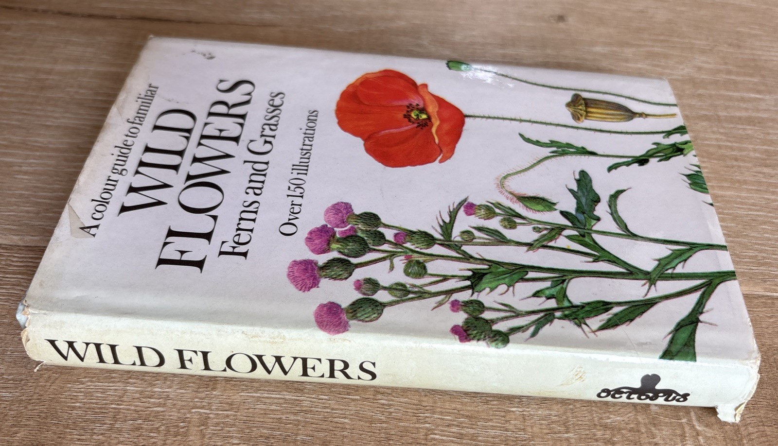 WILD FLOWERS FERNS AND GRASSES Bohumil Slavik 1975 HCDJ Octopus Czech Guide Vtg