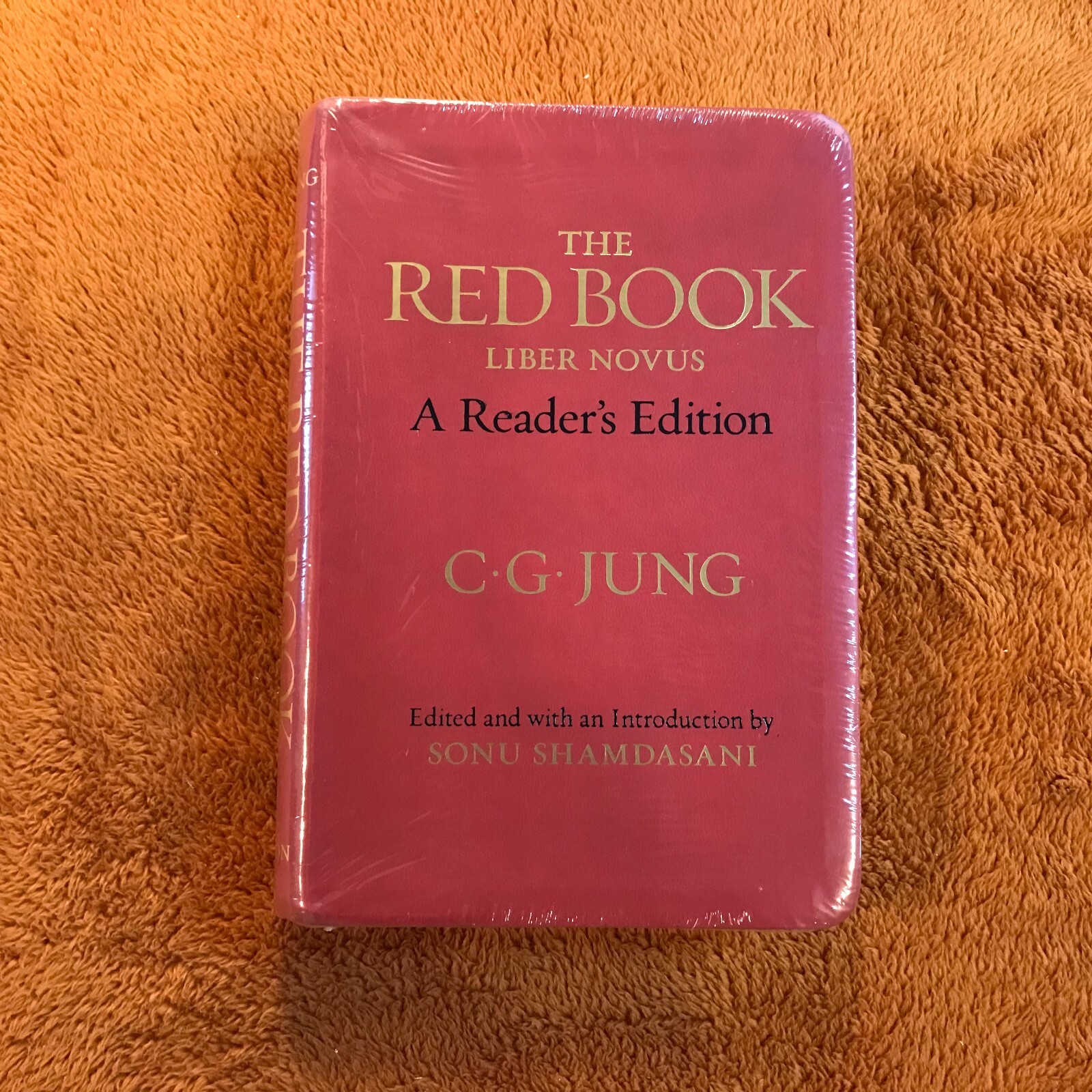 C.G. Carl Jung THE RED BOOK liber novus philemon &rsquo;12 english a reader&rsquo;s edition!
