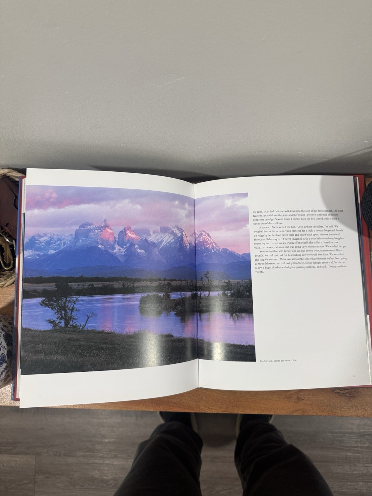 Patagonia: Notes From the Field by Yvon Chouinard (1999, Hardcover)