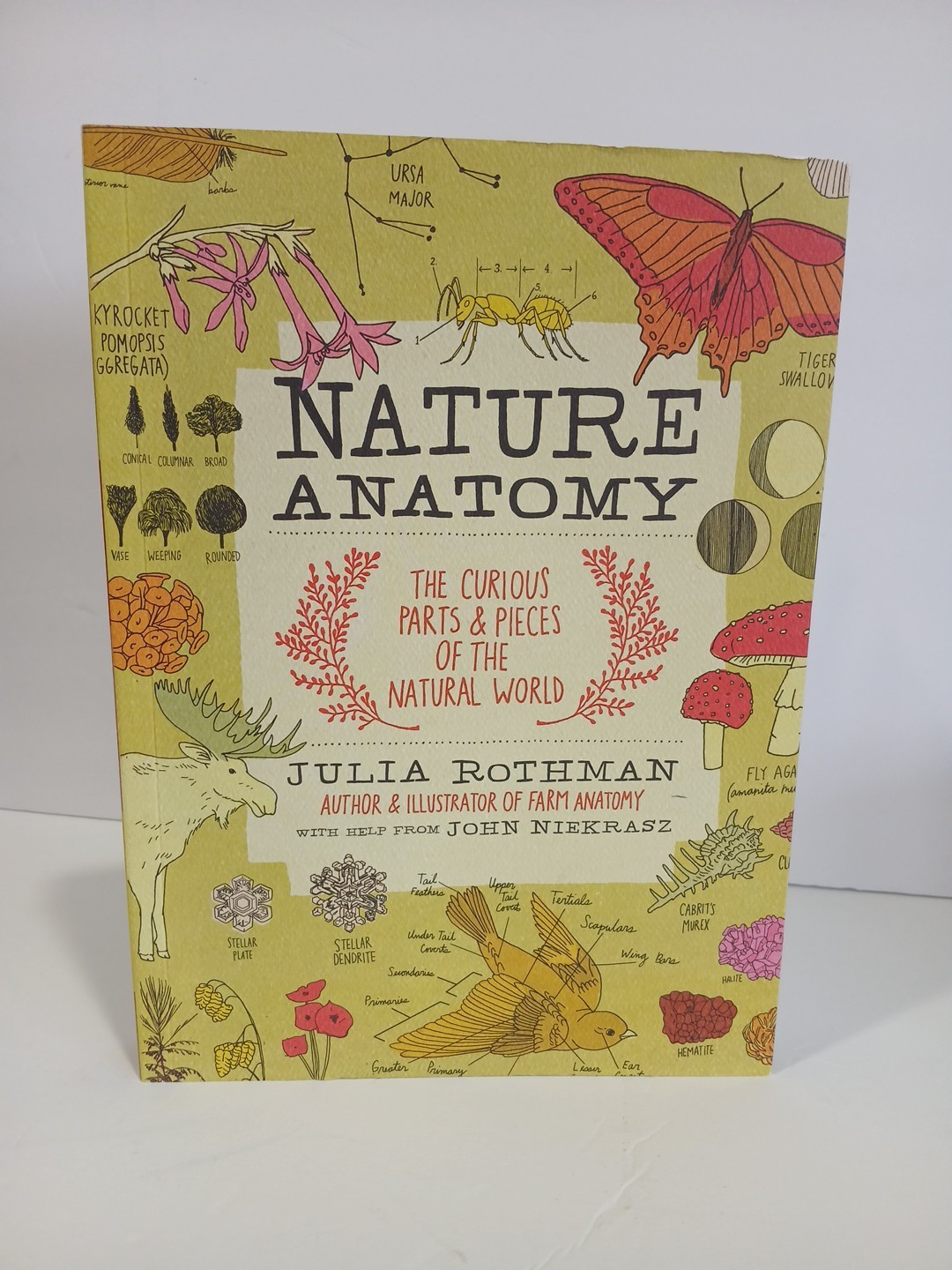 Nature Anatomy : The Curious Parts and Pieces NEW by Julia Rothman (Paperback)