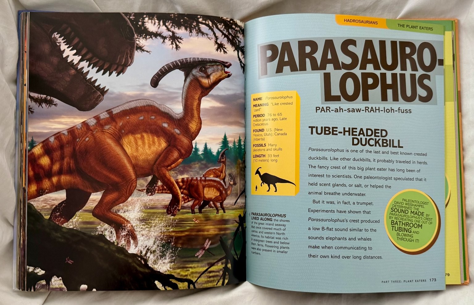 Lot 2 Dinosaur books National Geographic Kids Dino-Pedia and First Big Book