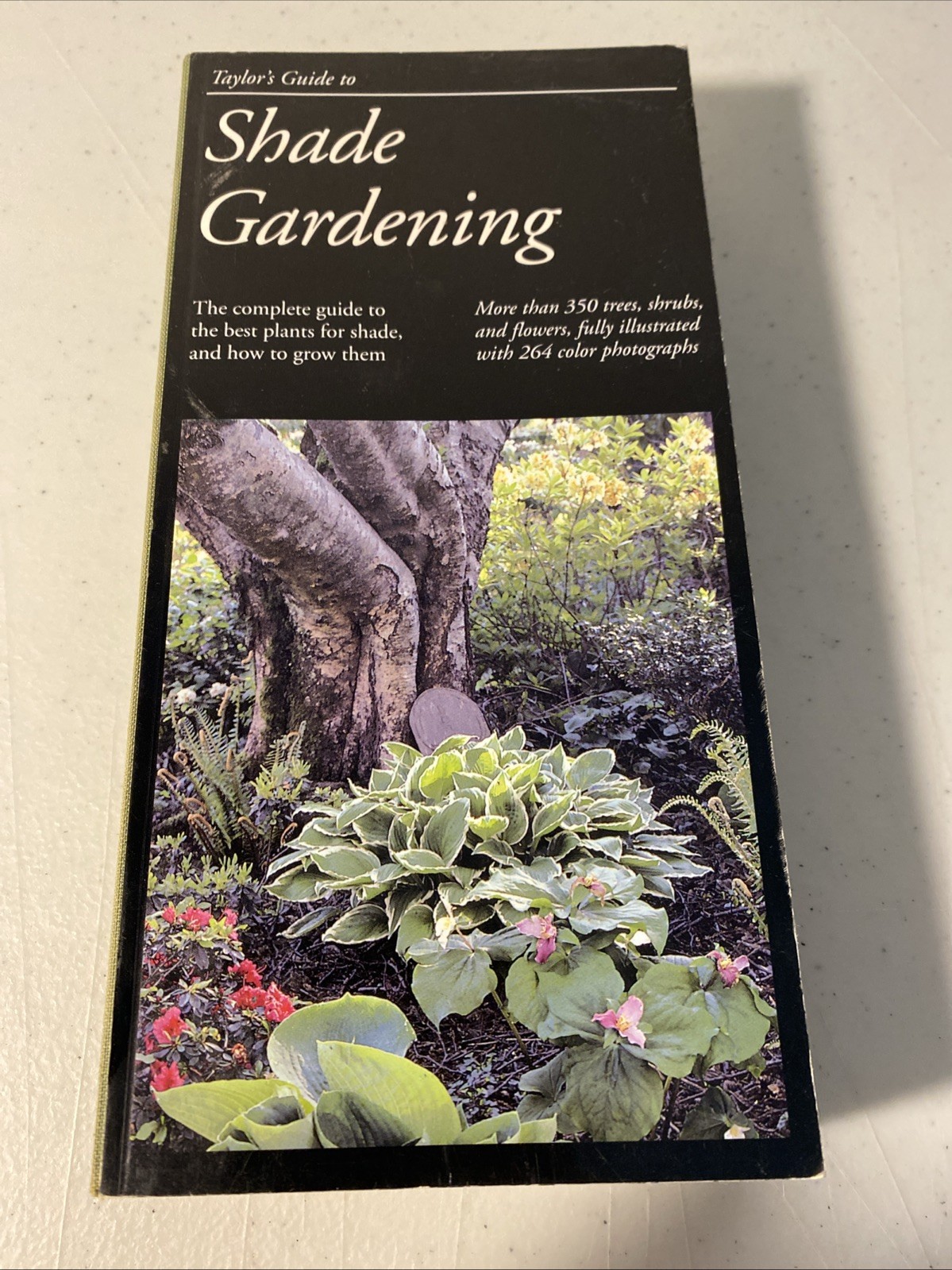 Taylor&rsquo;s Guides Lot of 4 Shrubs, Garden Design, Shade Gardening, Techniques