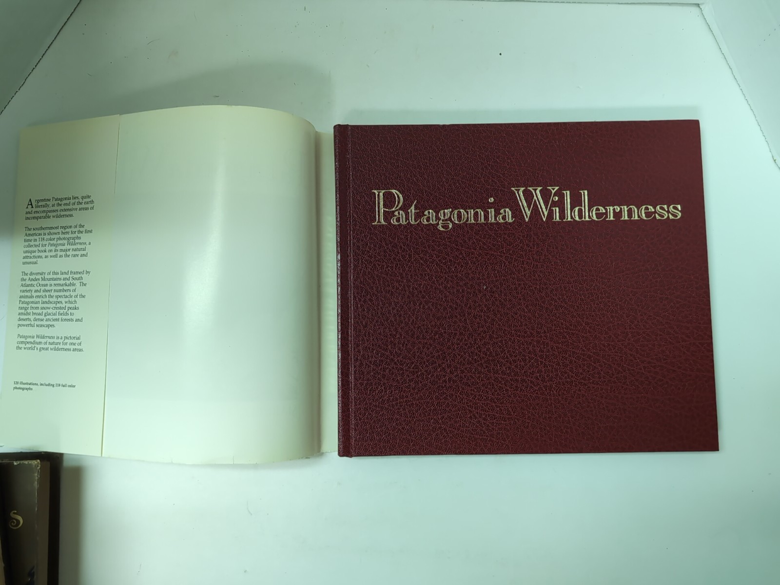Patagonia Wilderness by Beccaceci 1991 Hardcover First Edition w/ DJ Photography