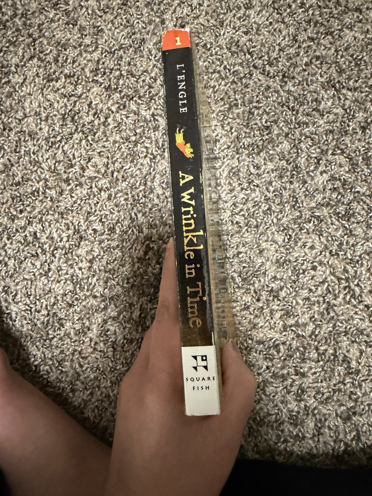 Square Fish A Wrinkle in Time by Madeleine L&rsquo;Engle (Paperback, Juvenile Fiction…