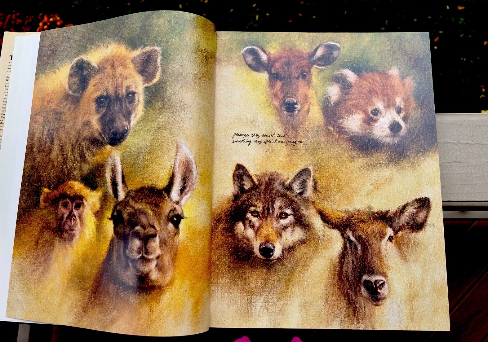 Noah&rsquo;s Ark Rien Poortvliet First US Edition Abrams 1986 Illustrated HC Oversized