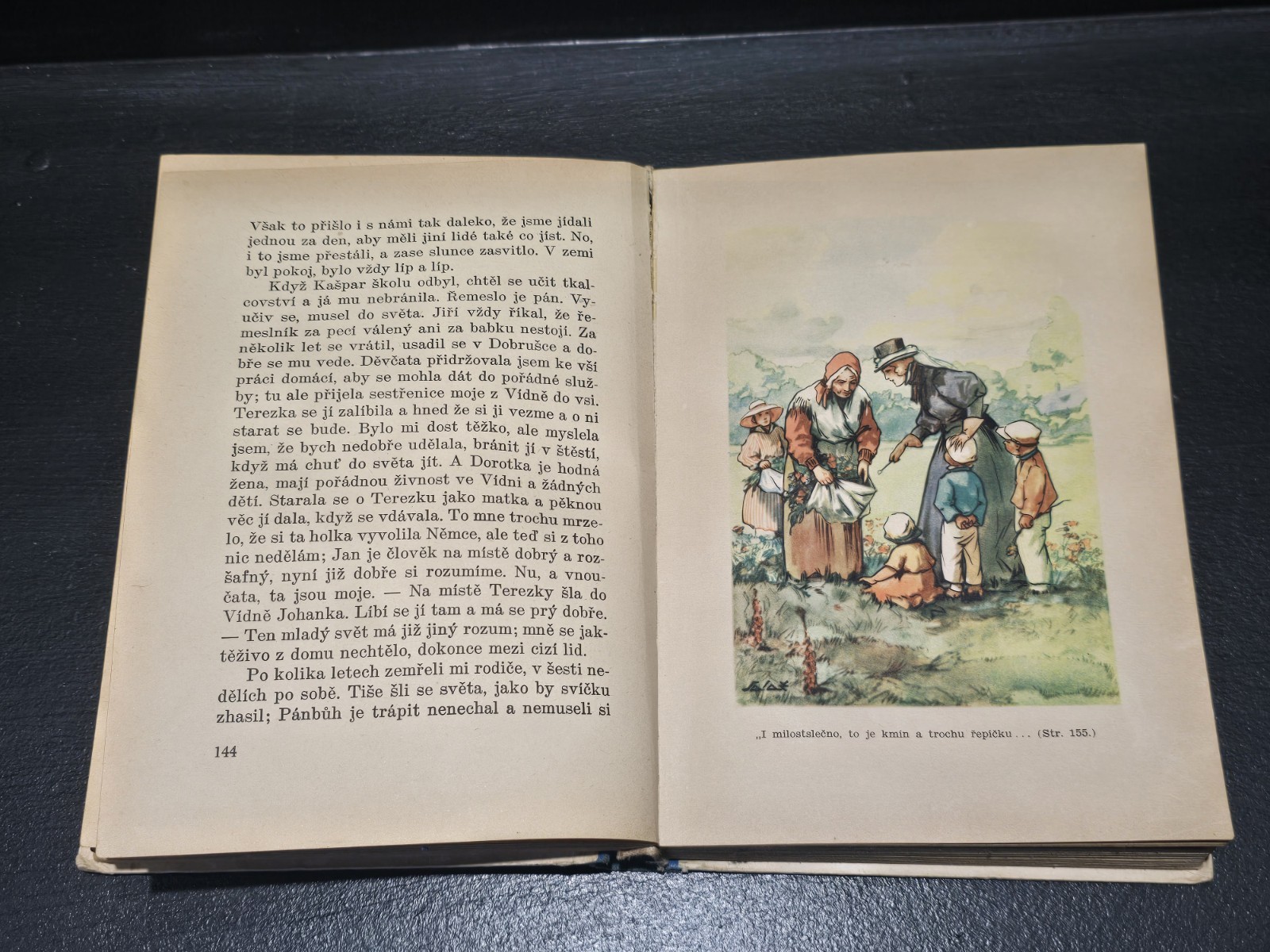 Babicka By Bozena Nemcova Published In 1932 Vintage Czech Book