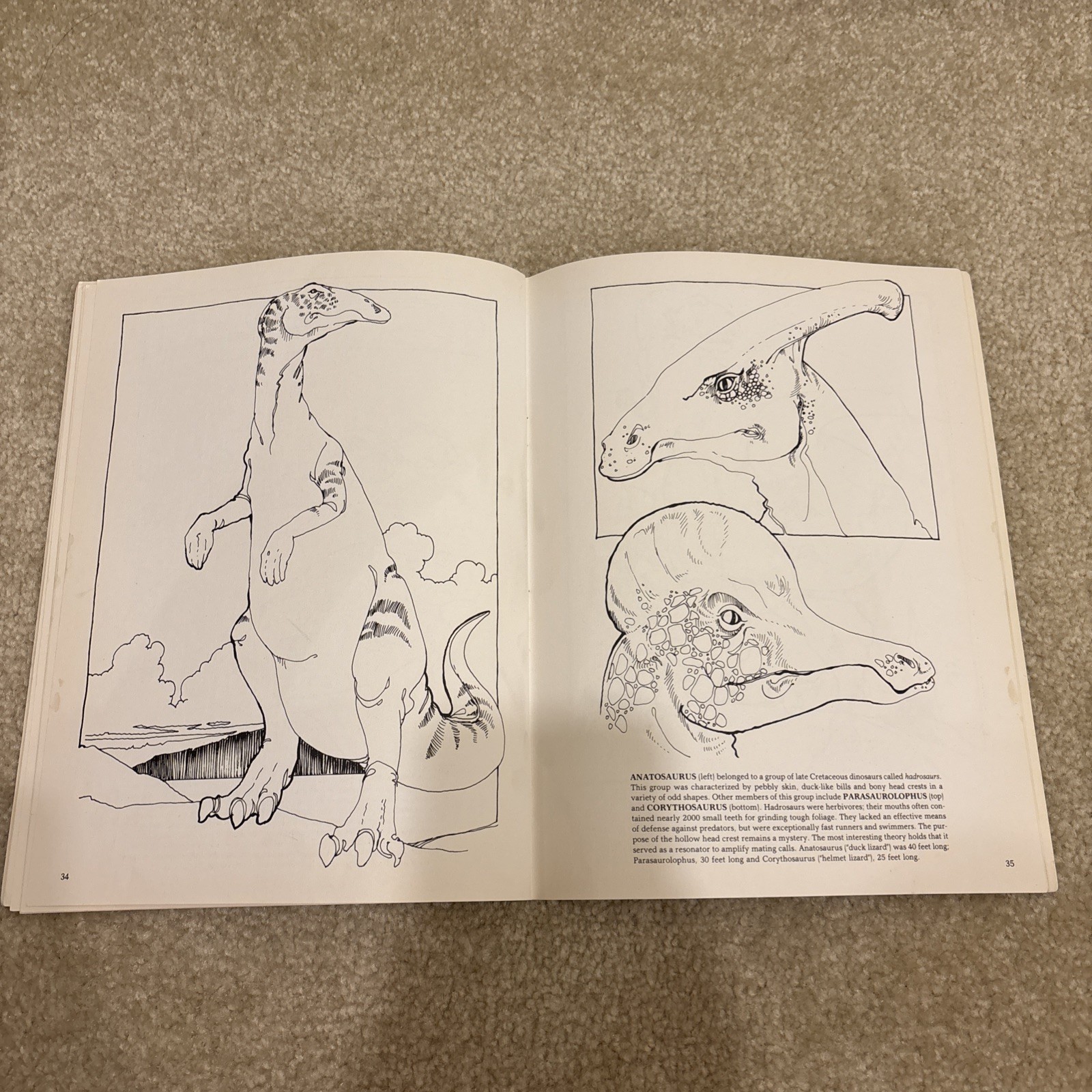 The Dinosaur Dover Coloring Book Paperback Anthony Rao Vintage 1980