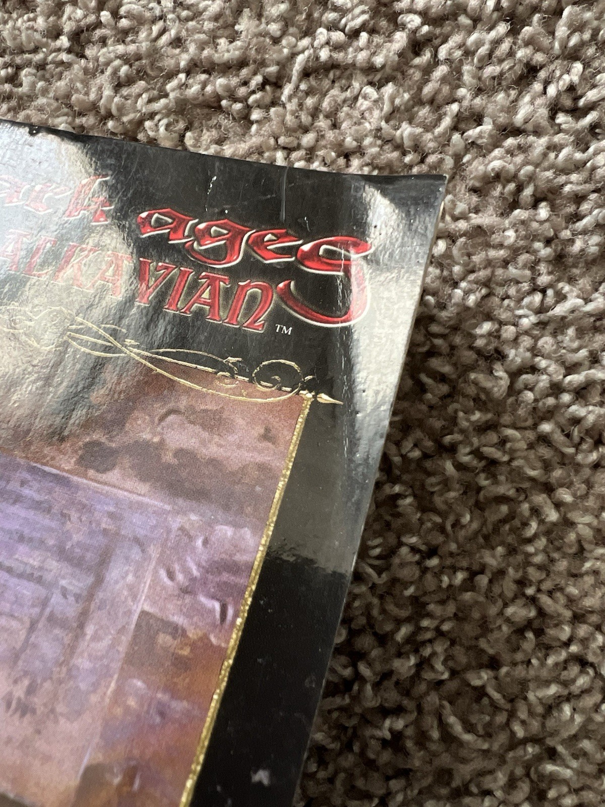 Dark Ages Malkavian: Book 7 In The Dark Ages Clan Novel Saga Some Damage