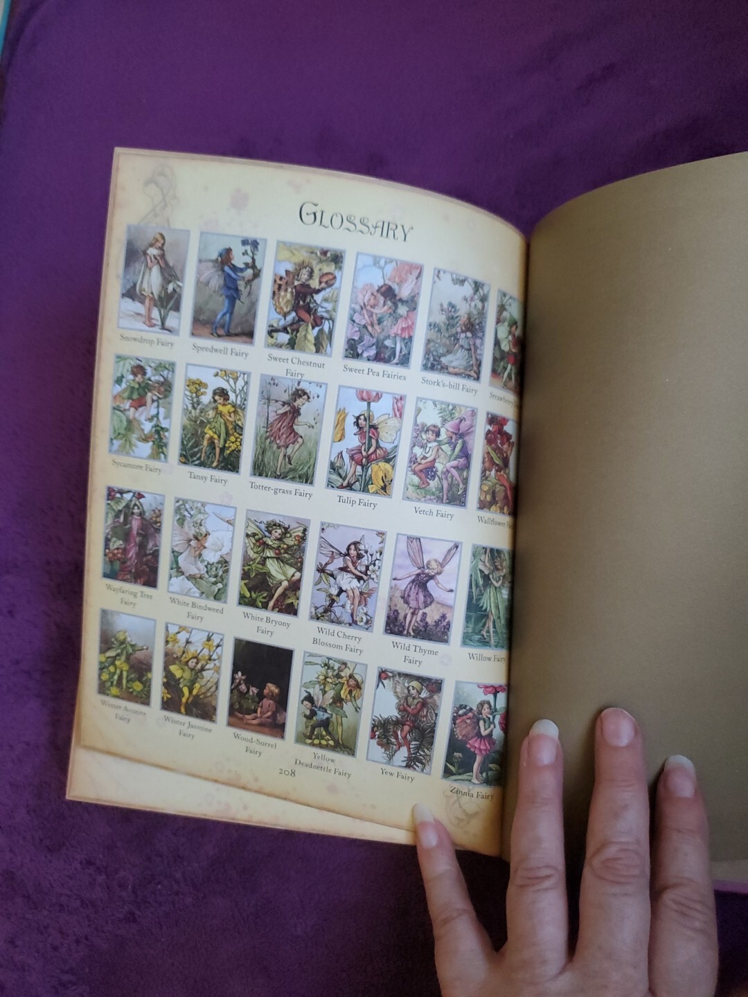 The Girls&rsquo; Book of Flower Fairies (HC, 2008) Frederick Warne (Crafts & Stories)