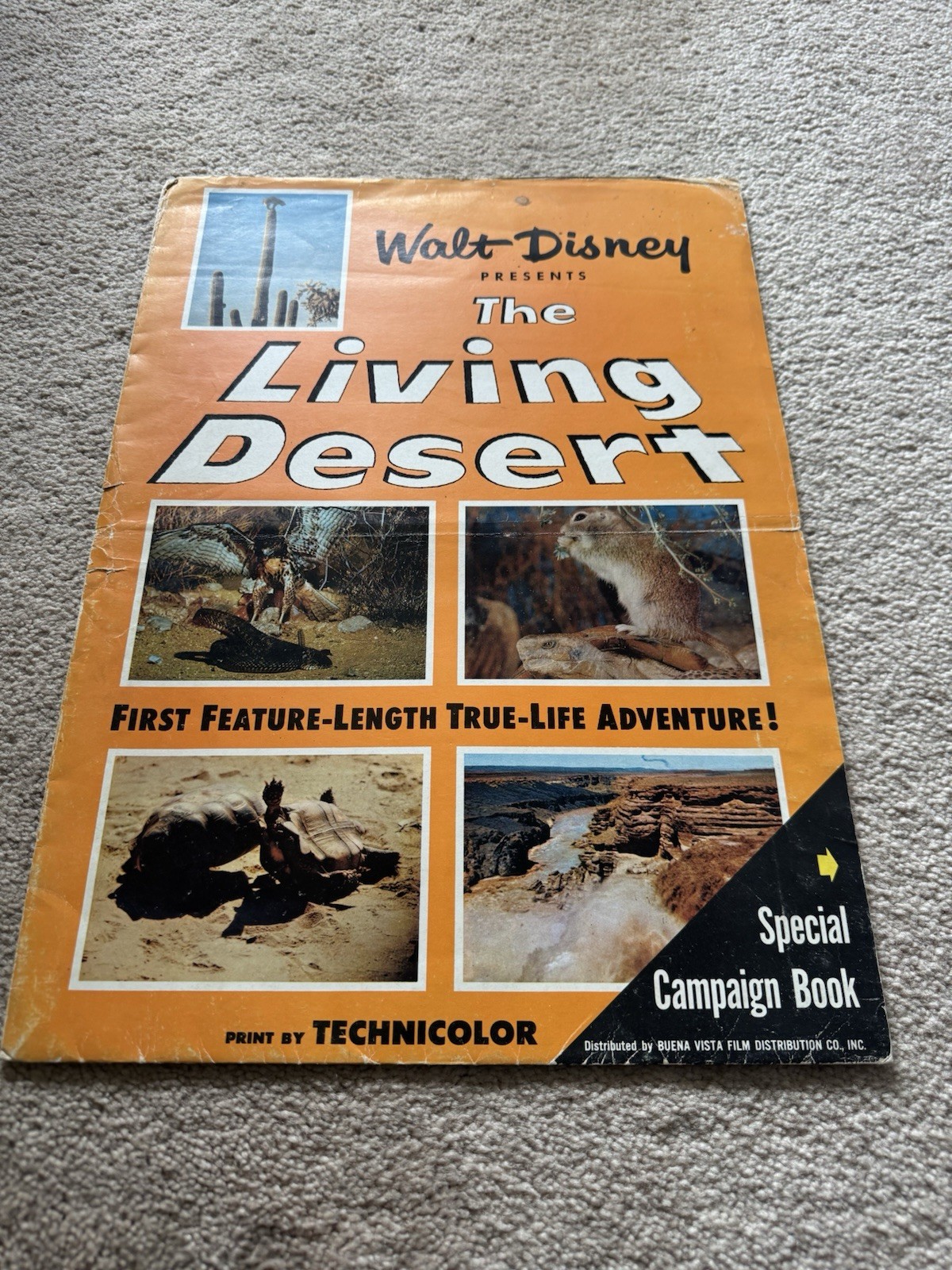 WALT DISNEY&rsquo;S LIVING DESERT 1953 Press Release Special Campaign Book Rare
