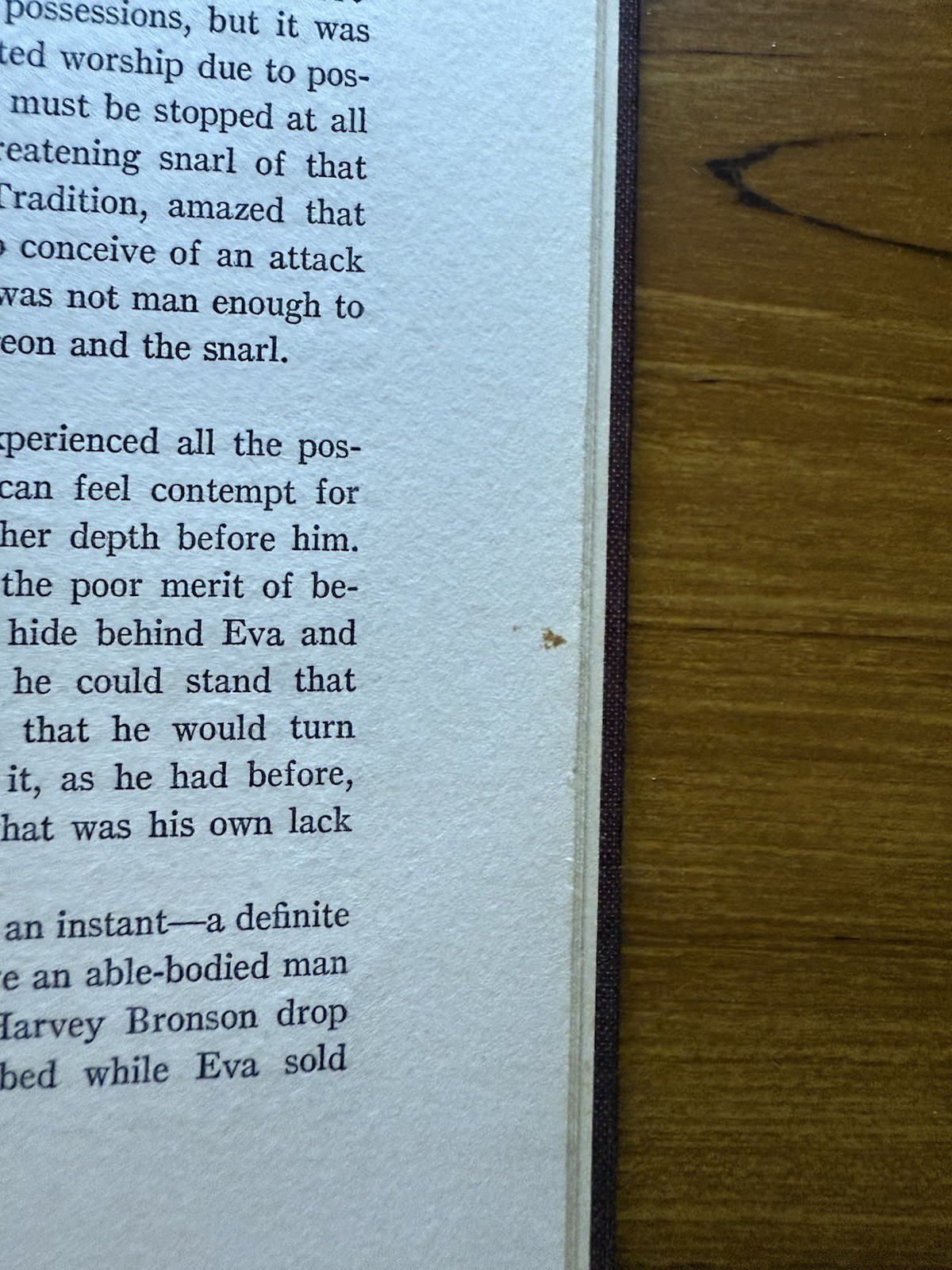 The Home-Maker by Dorothy Canfield, 1924, First Edition, Harcourt Brace & Co