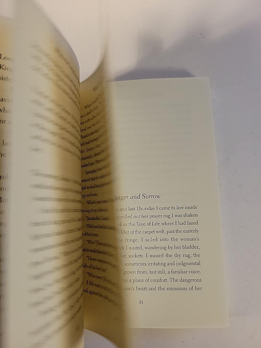 Where the Long Grass Bends : Stories by Neela Vaswani (2004, Trade Paperback)