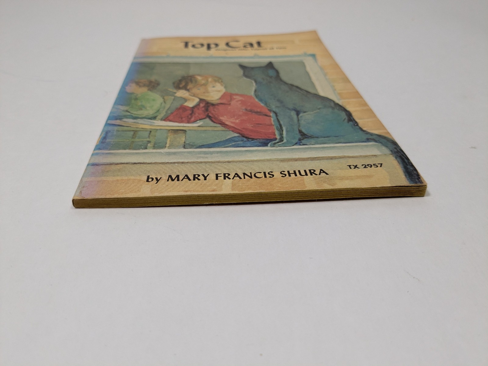 Top Cat by Mary Francis Shura Vintage Paperback Book Children&rsquo;s Illustrated