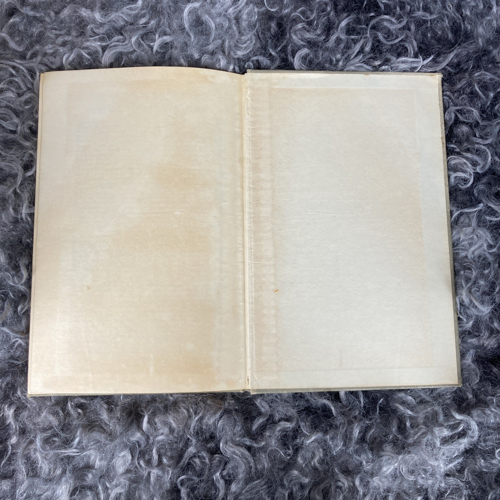 1924 Carolina Cookery from Quaker Kitchens, Inscription, collectors