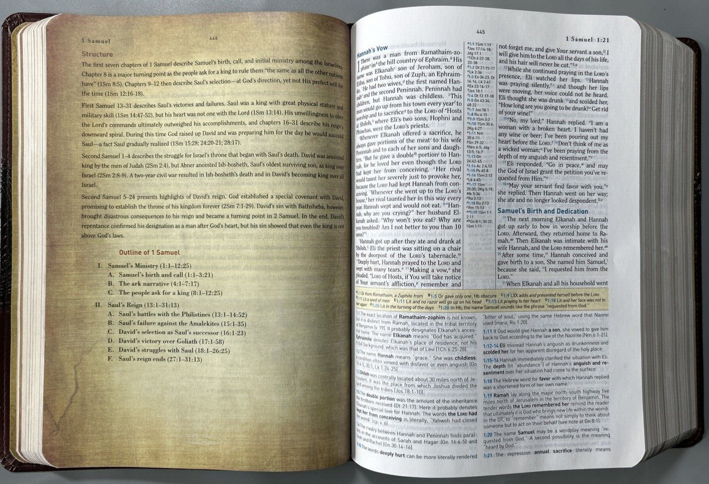 HCSB Study Bible Mahogany Duotone Simulated Leather Clean Text G+ USA Print