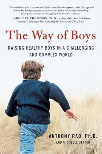 The Way of Boys: Raising Healthy Boys in a Challenging and Complex World – GOOD