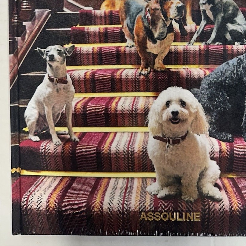 SEALED – Assouline The Connaught Book by Bill Prince, English Language