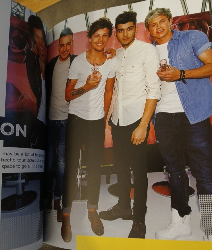 Rare One Direction Book Lot