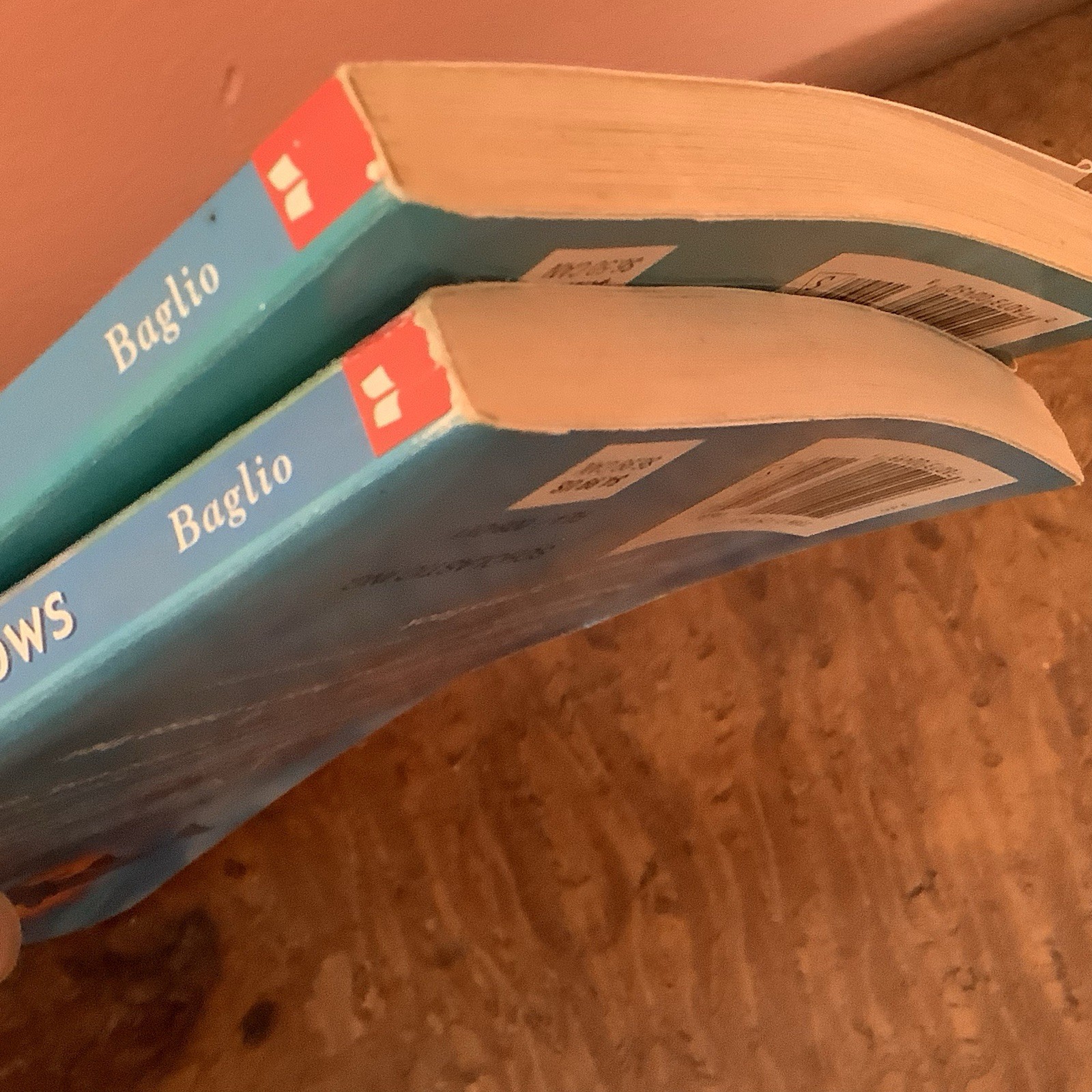 Dolphin Diaries Books 8 And 9, Ben M. Bagilo Scholastic Printing 2002 Lot Of 2