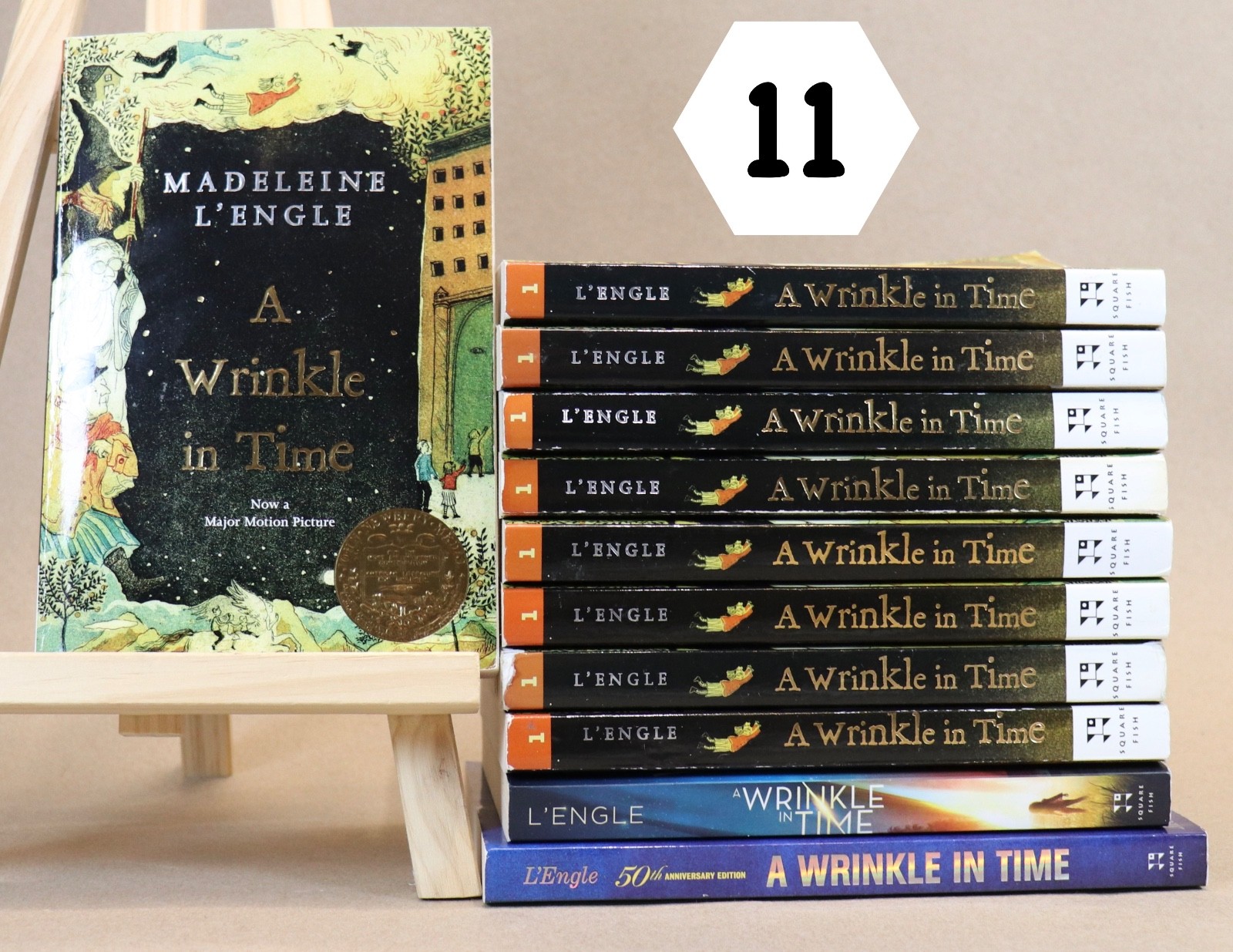 Lot of 11 A Wrinkle In Time by Madeleine L&rsquo;Engle GUIDED READING Teachers Set