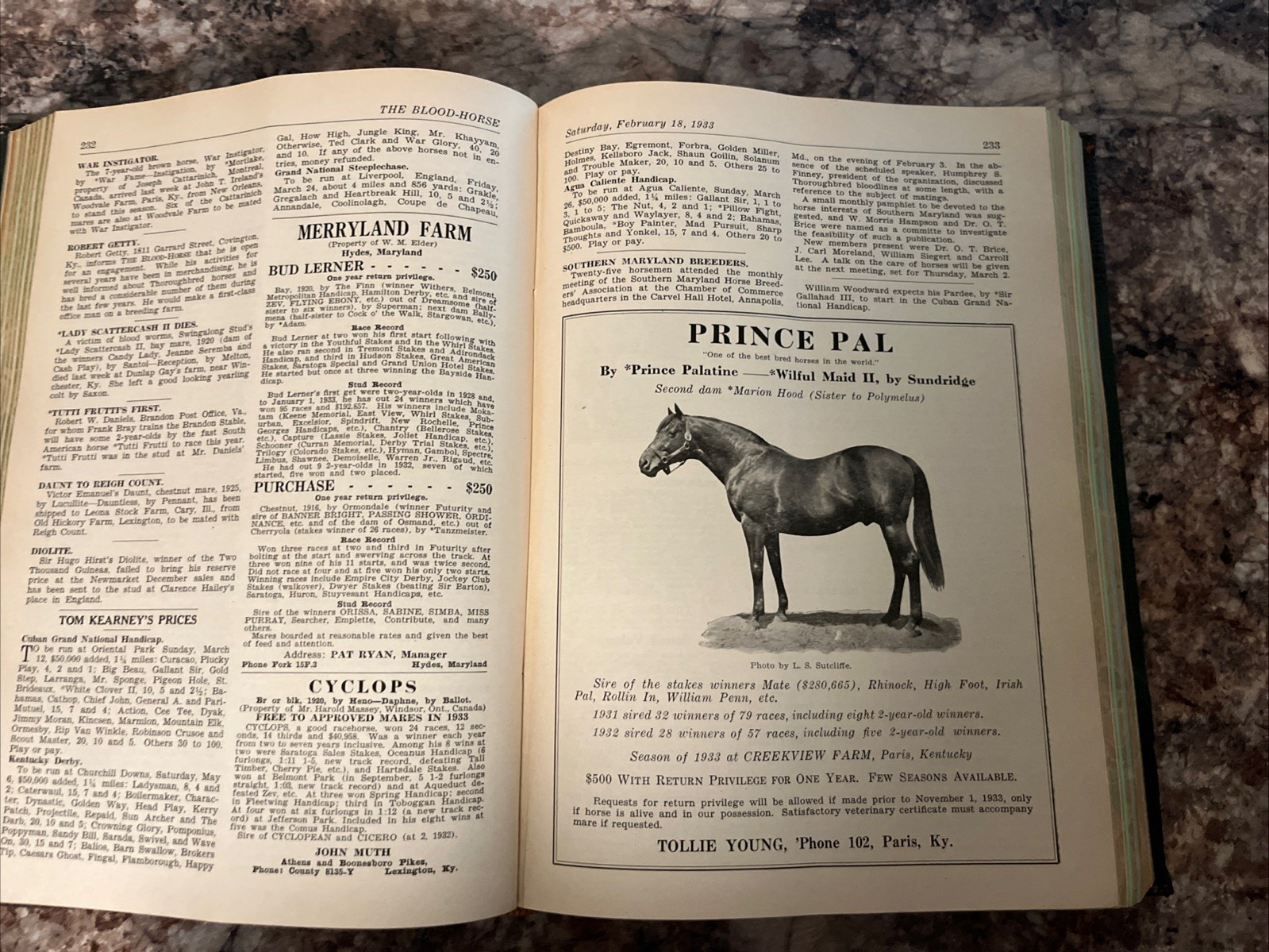 The Blood-Horse Weekly Journal 1933 Vol. 19 Thomas B. Cromwell Lexington, Ky