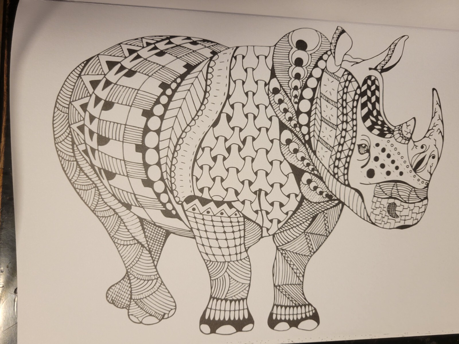 MAJESTIC CREATURES Vol 13 Adult Coloring Book With 47 Prints Ready To Frame