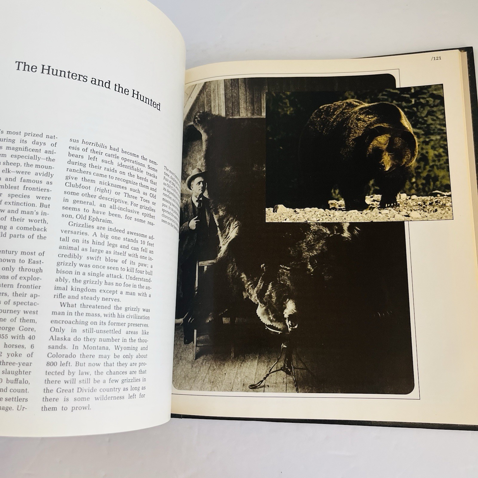 Vintage « The American Wilderness » Time Life Books Collection 1973 Lot of 7