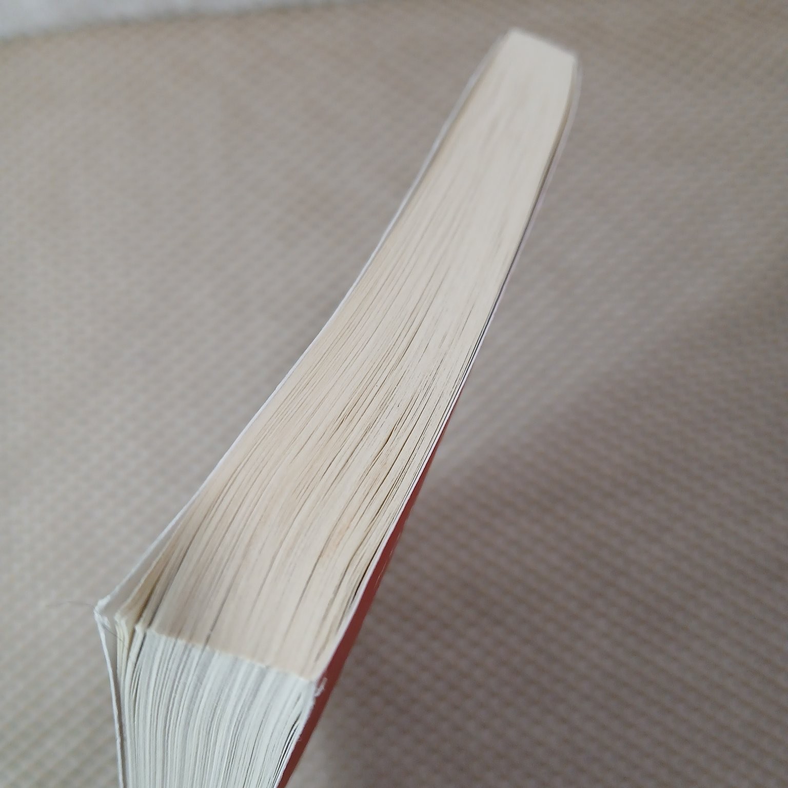 Why Do I Do What I Don&rsquo;t Want To Do? Pokluda 2023 1st Print Inscribed Christian
