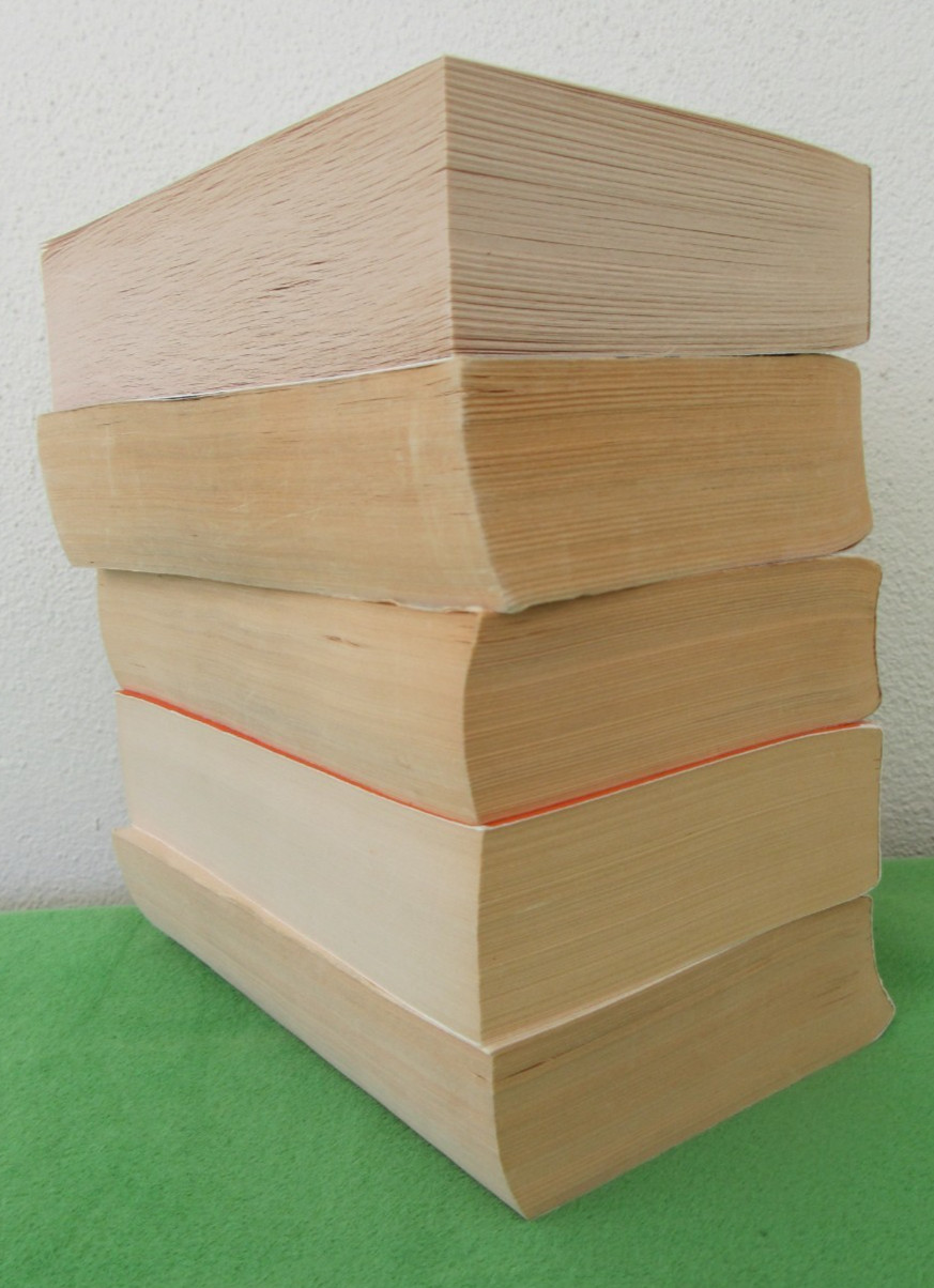 LOT #1 – 5 TRADE PB EARTH&rsquo;S CHILDREN SERIES BY JEAN M. AUEL: CLAN OF CAVE BEAR +