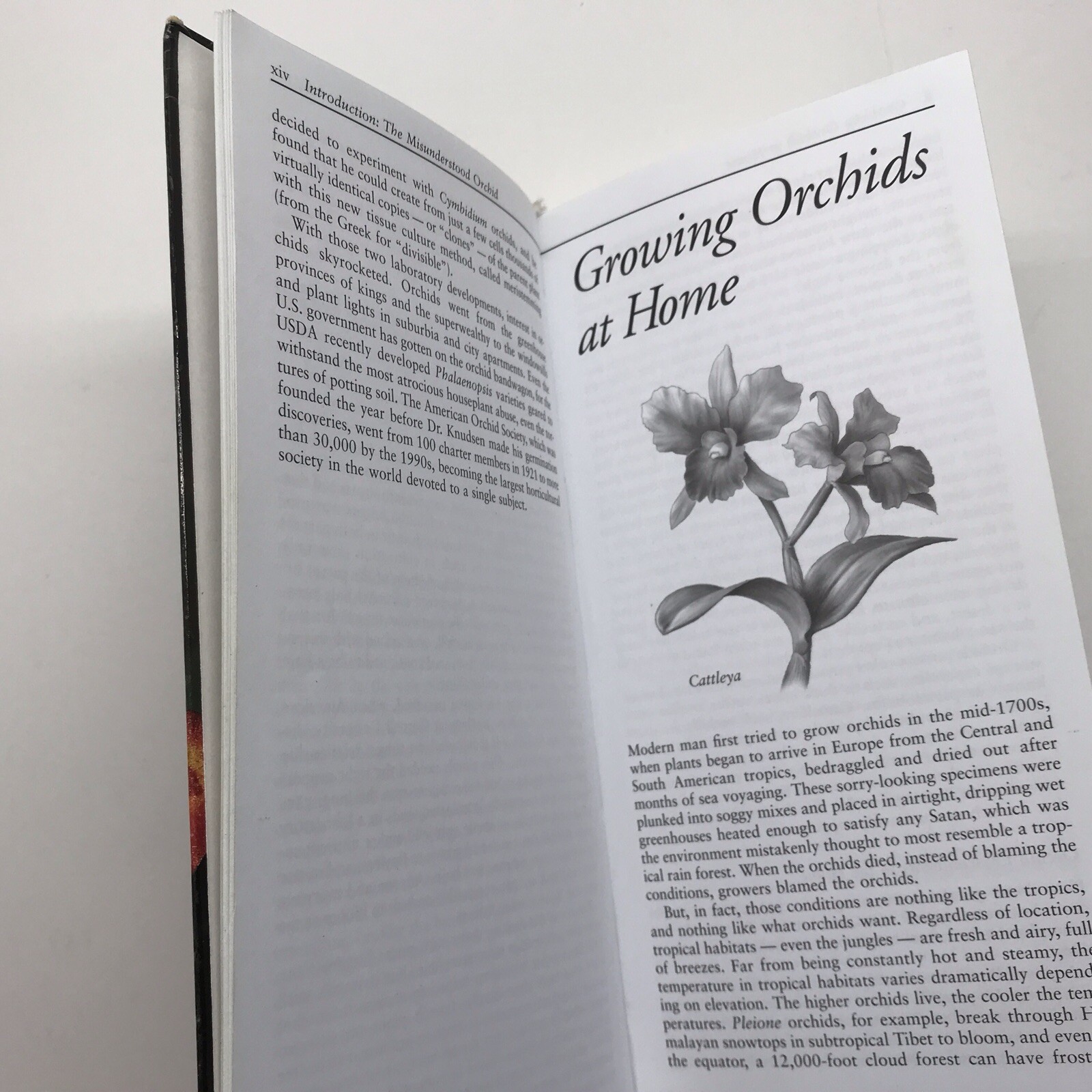 Taylor&rsquo;s Guide to Orchids~1996~Judy White~Ex Library