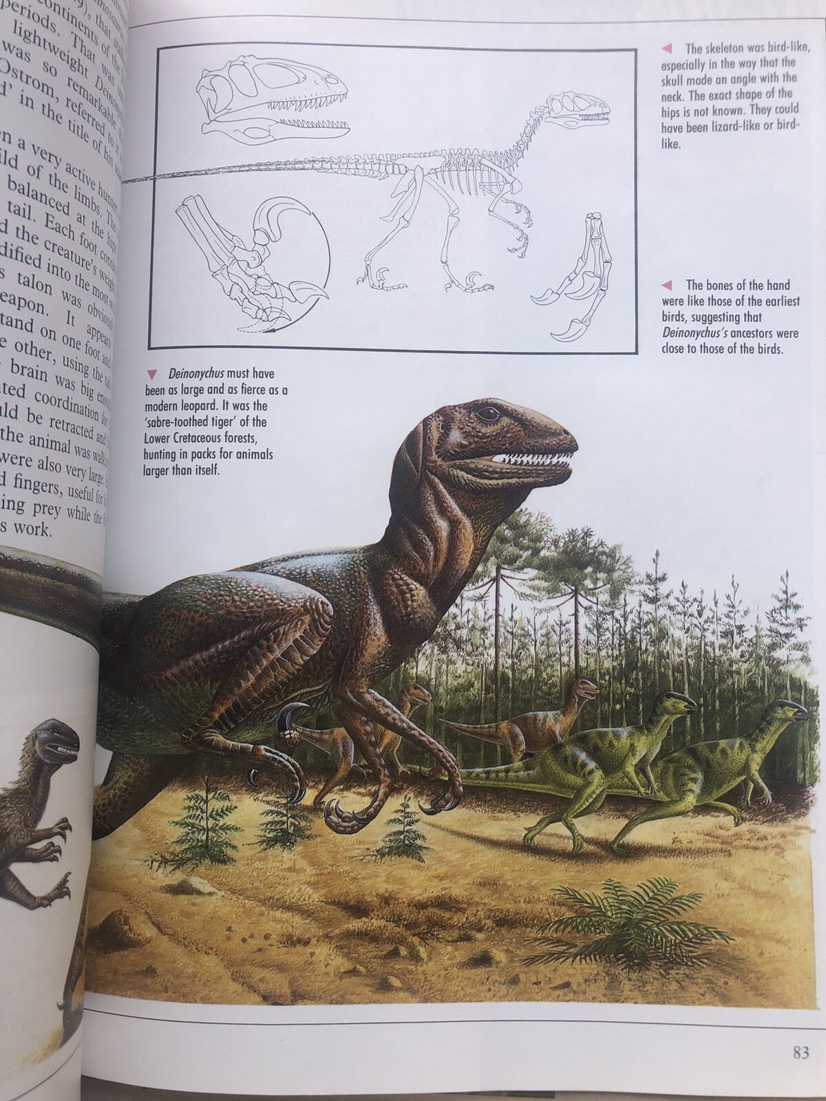 Illustrated Dinosaur Encyclopedia by Dougal Dixon (1988, Hardcover)