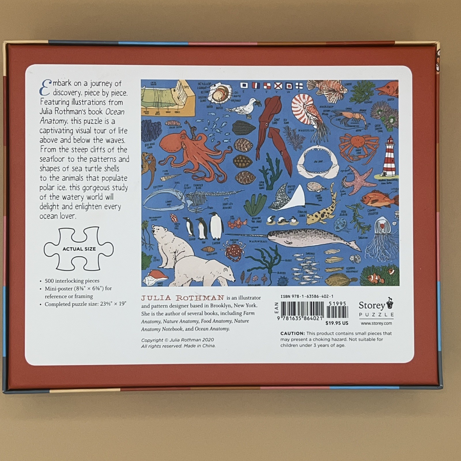 Ocean Anatomy: the Puzzle (500 Pieces) by Julia Rothmanl