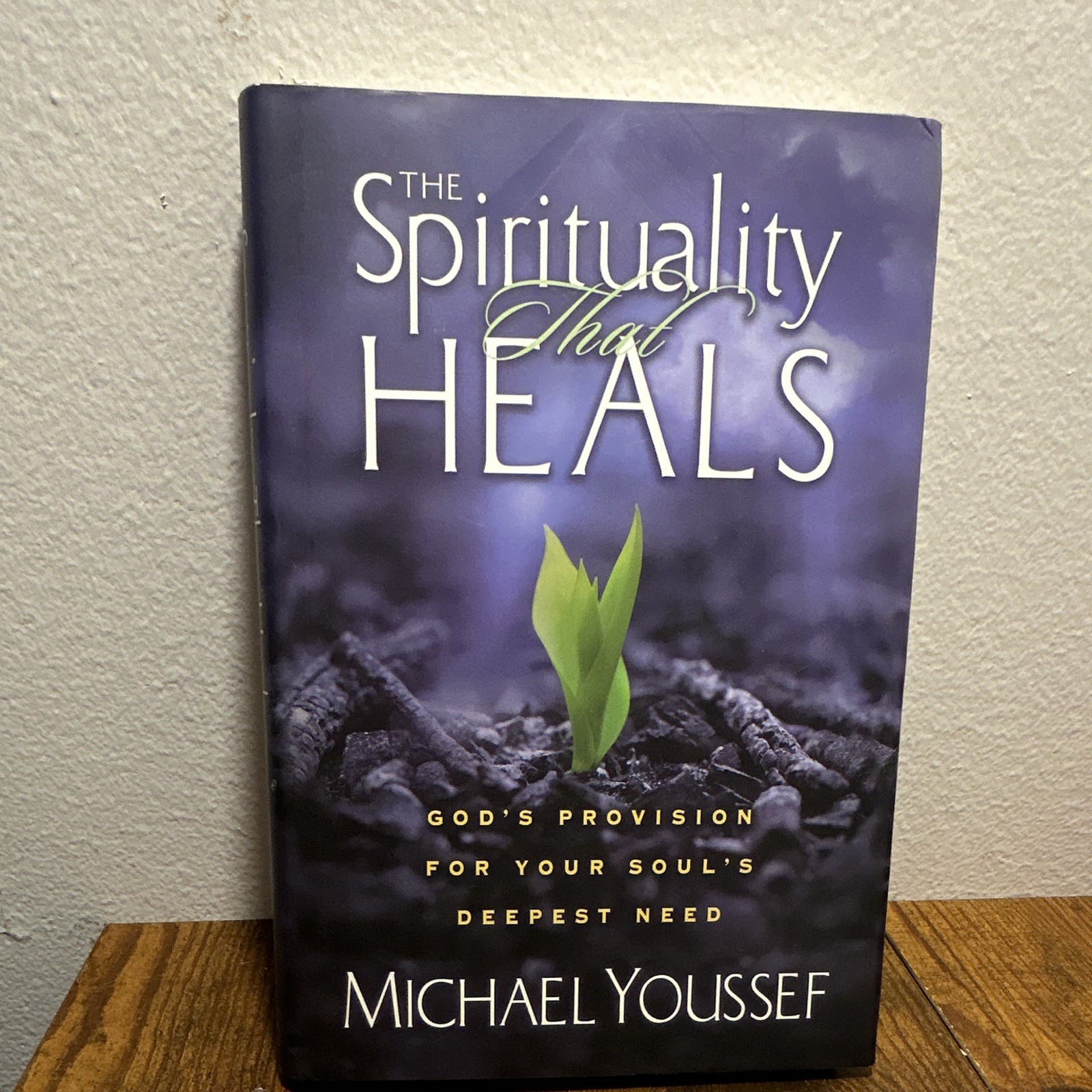 Michael Youssef The Spirituality That Heals God&rsquo;s Provision 2003 Hardcover