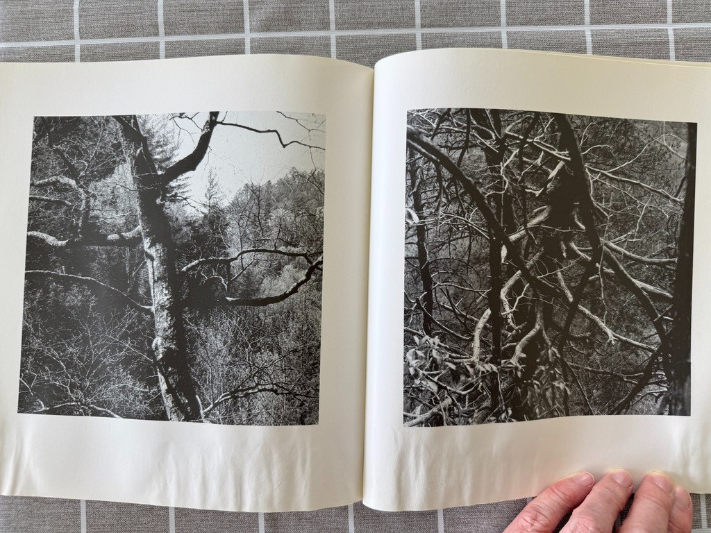 The Unforeseen Wilderness, Kentucky&rsquo;s Red River Gorge, Wendell Berry, 1991
