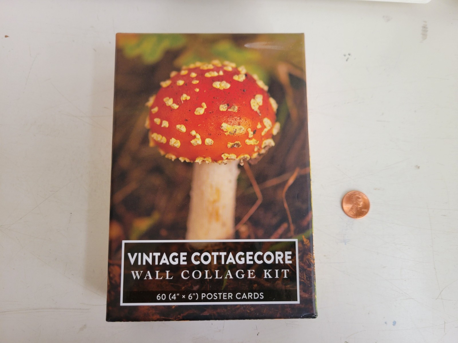 Vintage Cottagecore Wall Collage Kit: 60 (4&Prime; x 6&Prime;) Poster Cards by Adams Media