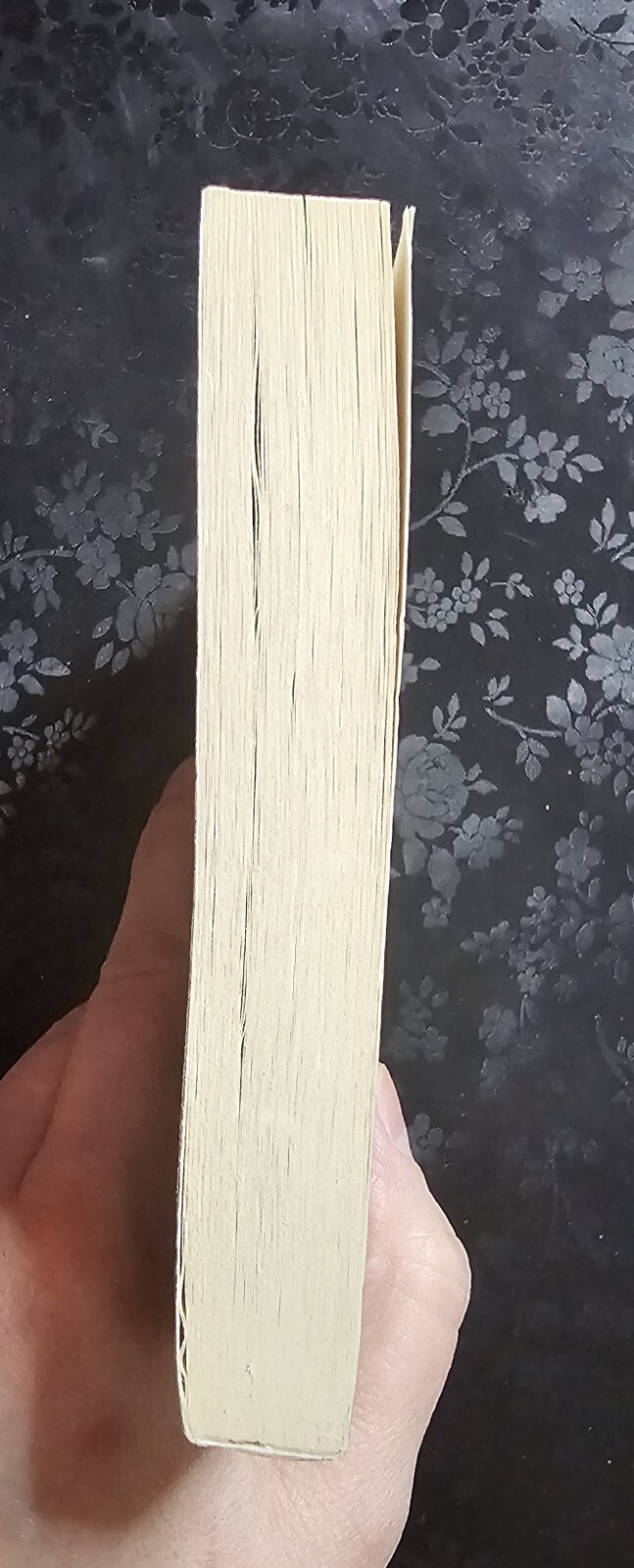 A WRINKLE IN TIME [Book One] Madeleine L&rsquo;Engle – First Square Fish Edition: 2007