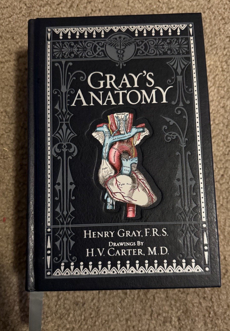 Gray&rsquo;s Anatomy Blue Leather Bound Hardcover Book by Henry Gray H.V. Carter