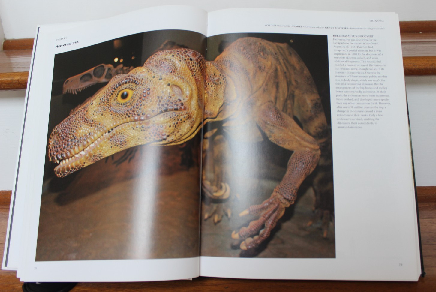 Dinosaurs & Other Prehistoric Animals Book 448 Pages, Amber Books – VGUC