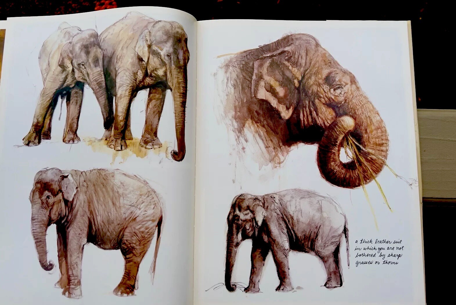 Noah&rsquo;s Ark Rien Poortvliet First US Edition Abrams 1986 Illustrated HC Oversized