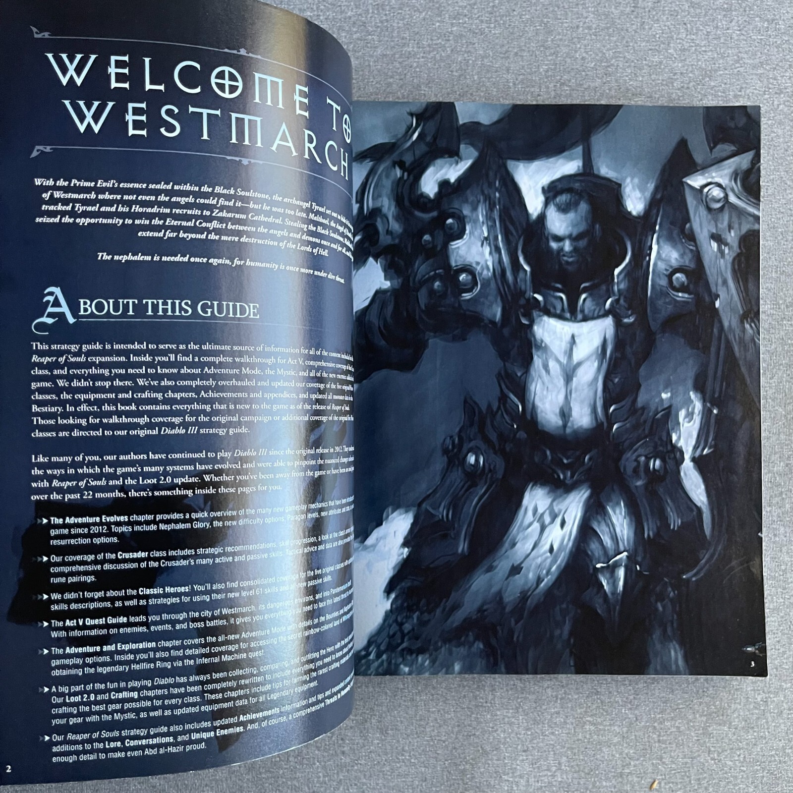 Diablo Reaper Of Souls Expansion Set Brady Games Signature Series Guide