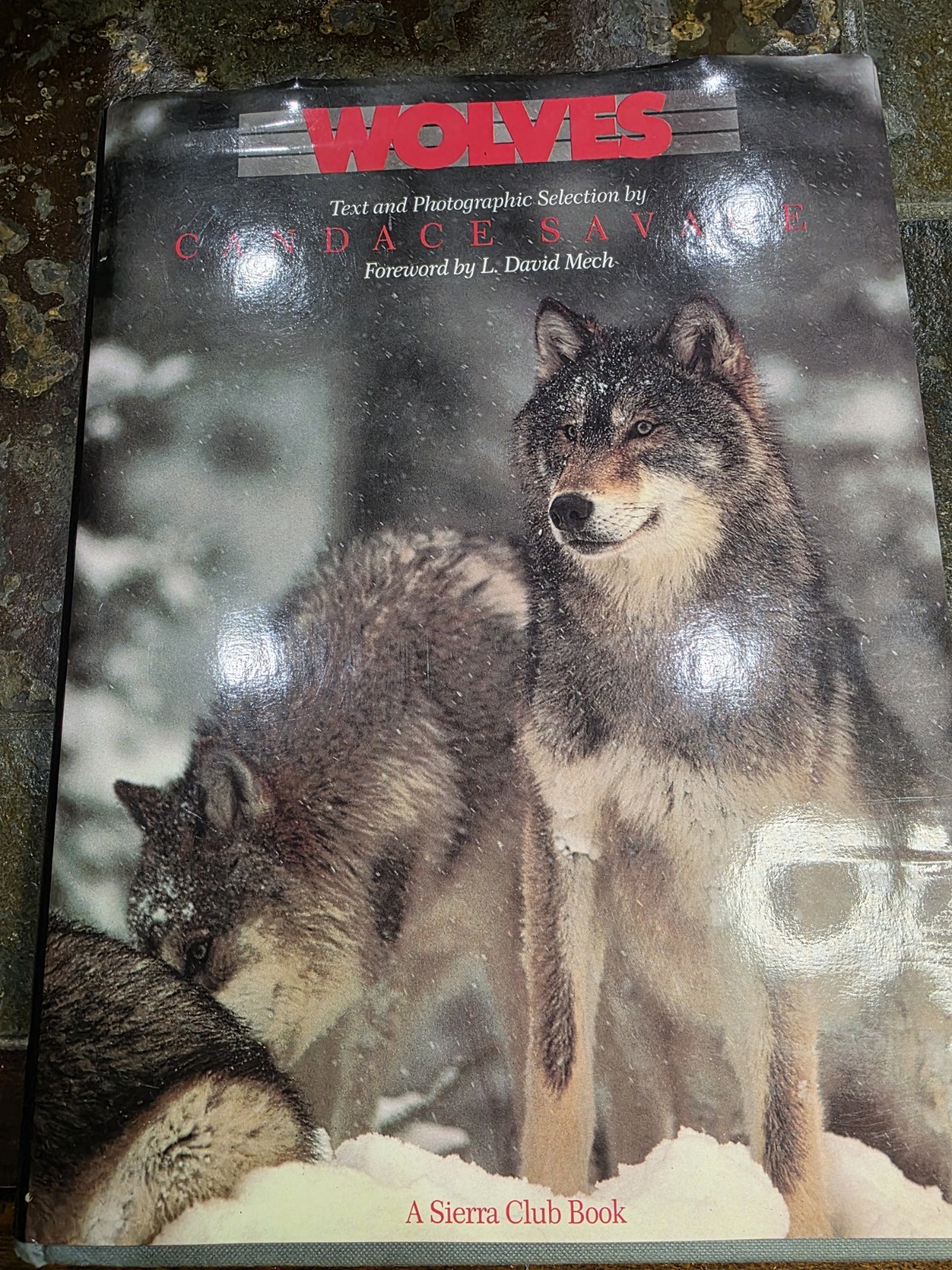 « WOLVES » by Candace Savage, intro by L David Mech. 1988. HBwDJ, 159 pages, VG