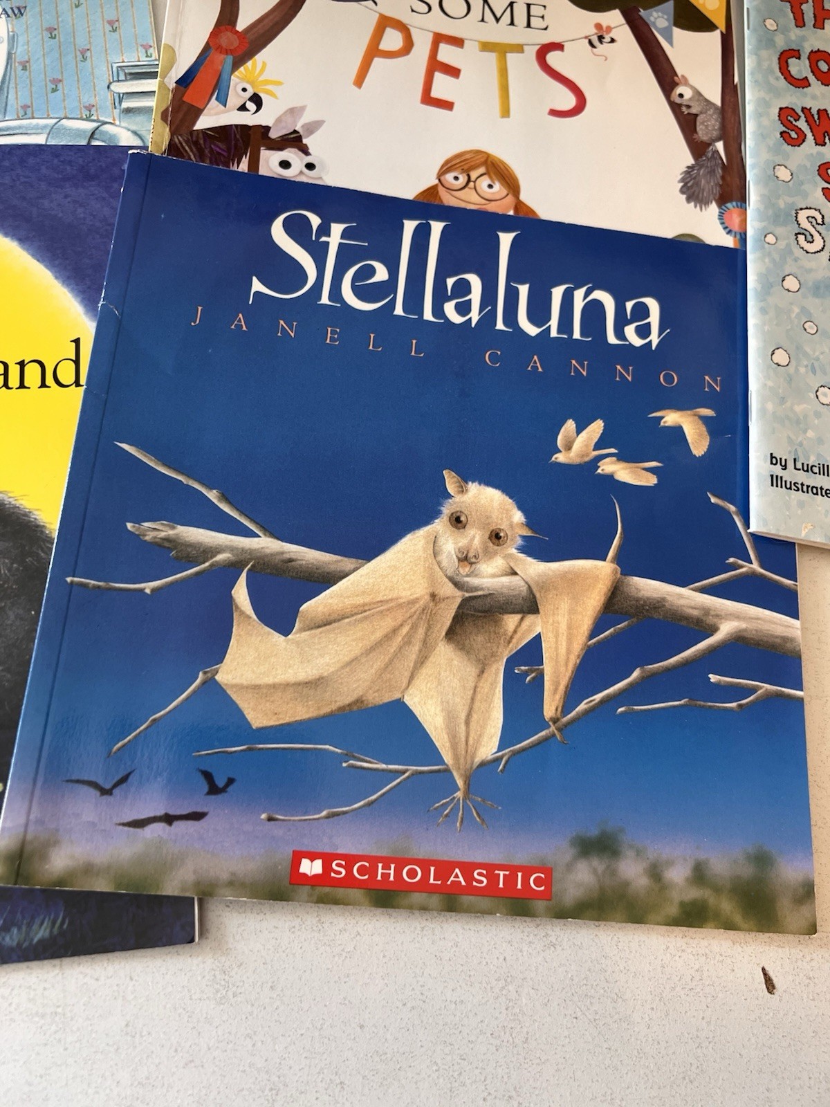 Picture Book Lot of 10 Books Children&rsquo;s Kids Toddler Daycare Live You Forever