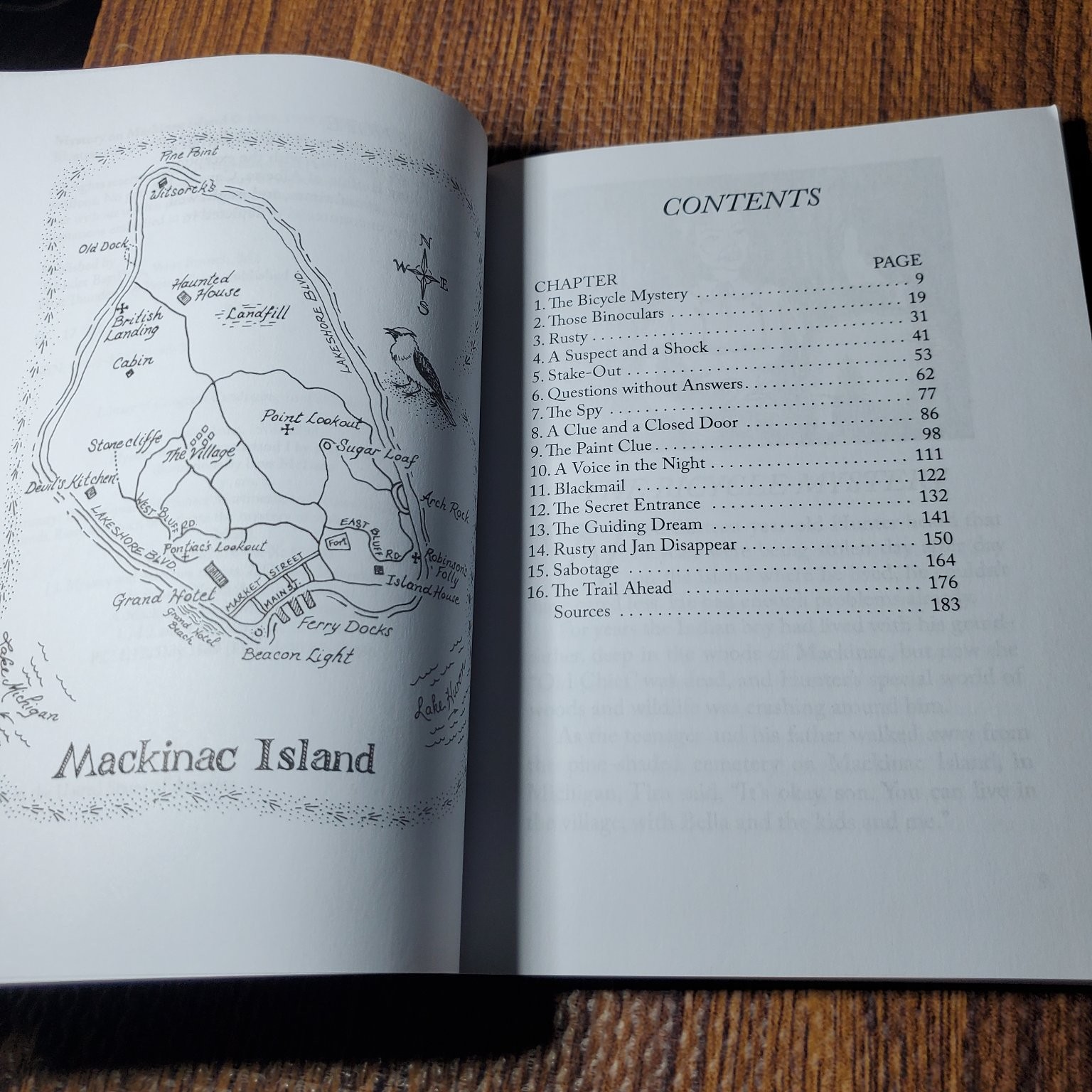Mystery on Mackinac Island Anna W. Hale 1998 First Edition Children&rsquo;s Mystery