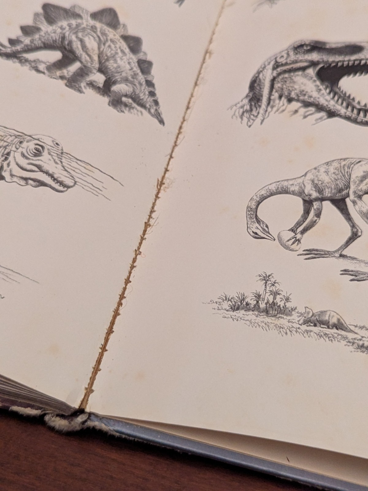 Album Of Dinosaurs Vintage Children&rsquo;s Hardcover Tom McGowen Rand McNally 1976