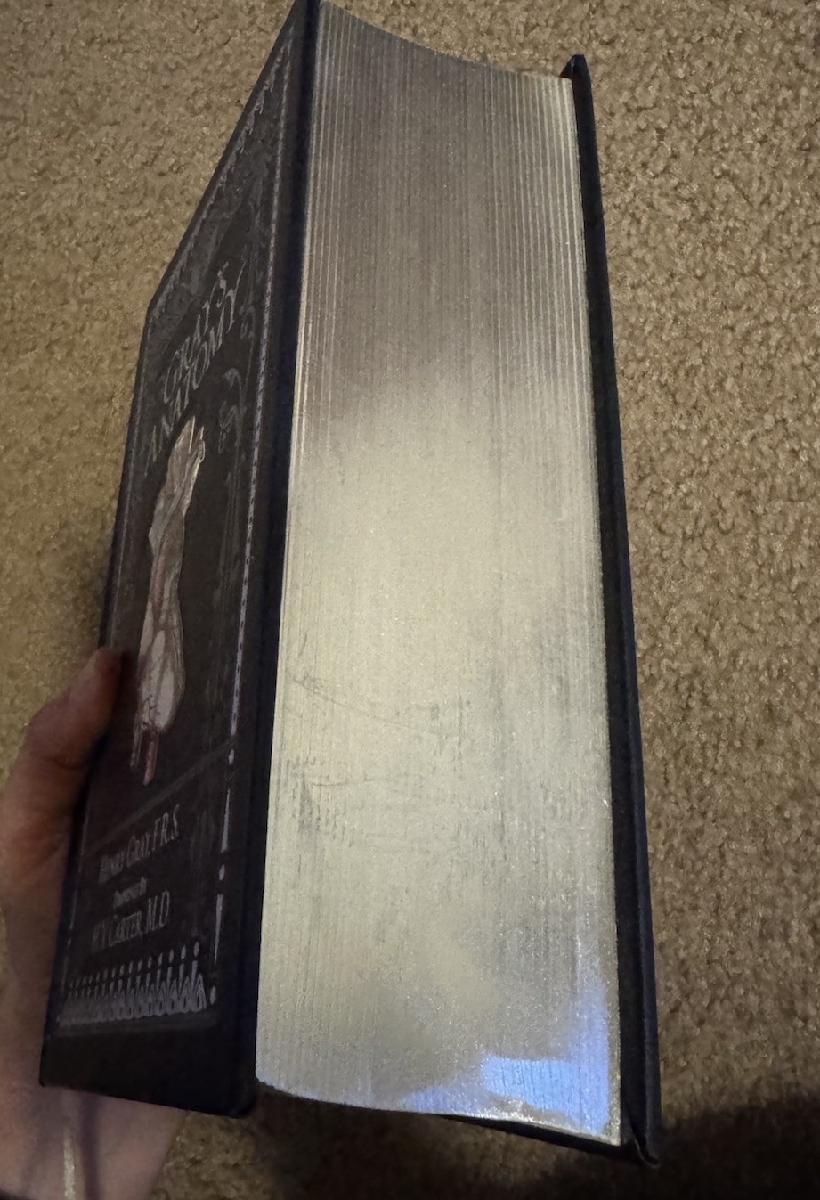 Gray&rsquo;s Anatomy Blue Leather Bound Hardcover Book by Henry Gray H.V. Carter