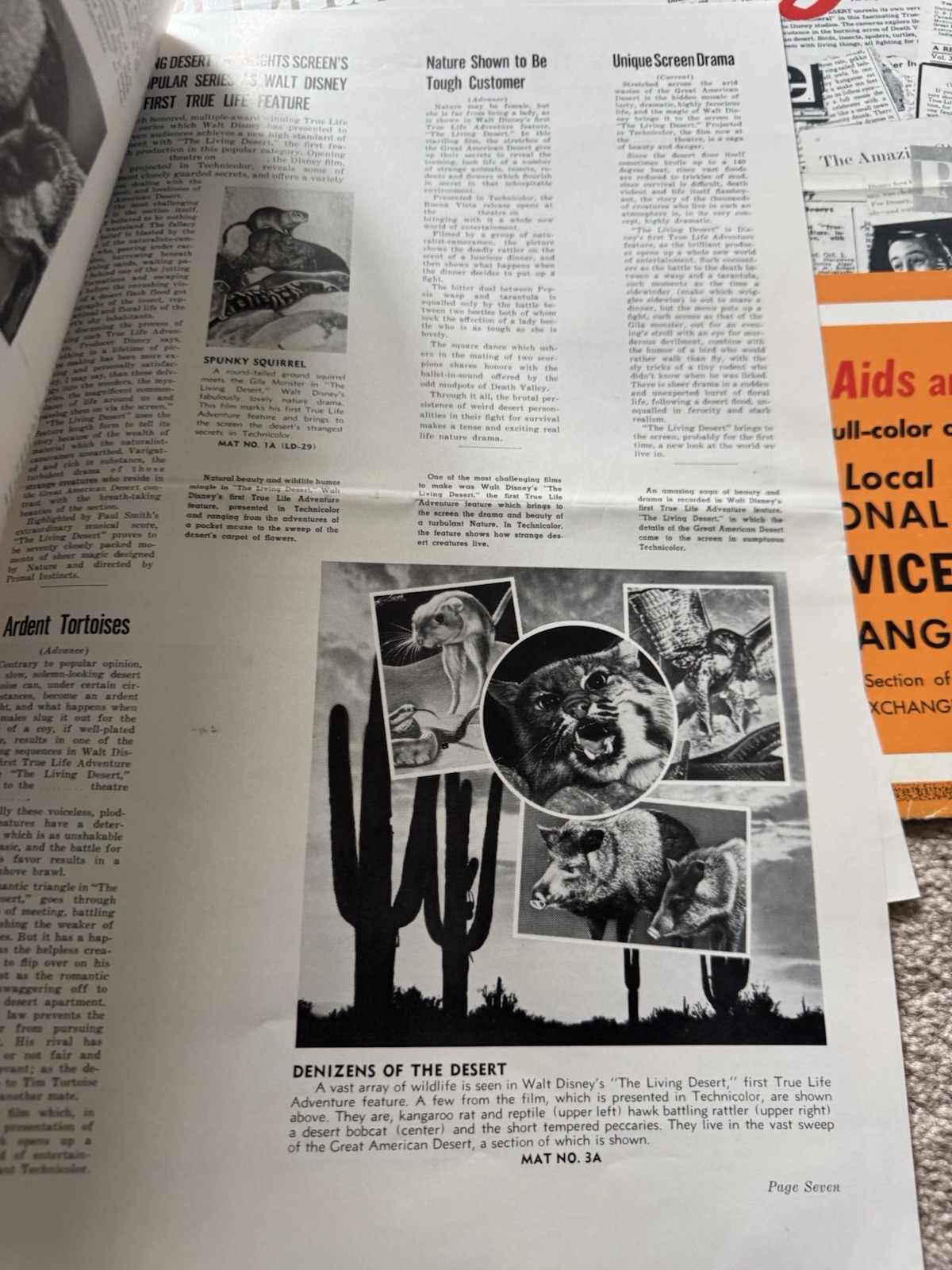 WALT DISNEY&rsquo;S LIVING DESERT 1953 Press Release Special Campaign Book Rare
