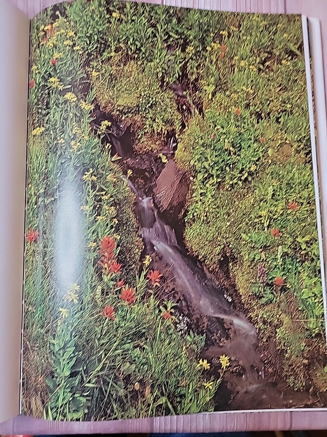 Oregon II Hardcover Large Table Top Book By Ray Atkeson Like New