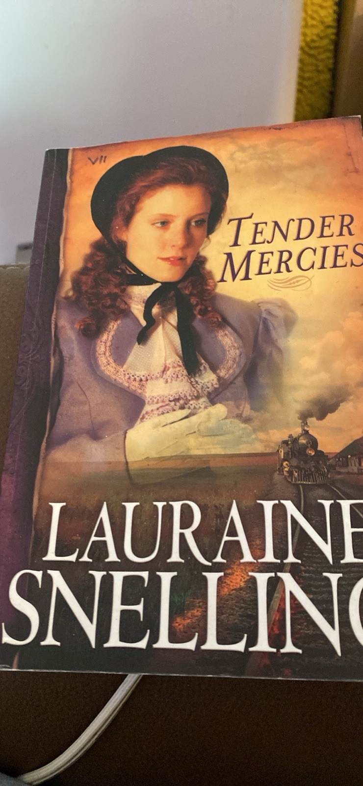 Lauraine Snelling 2 Book Lot Tender Mercies Blessing in Disguise