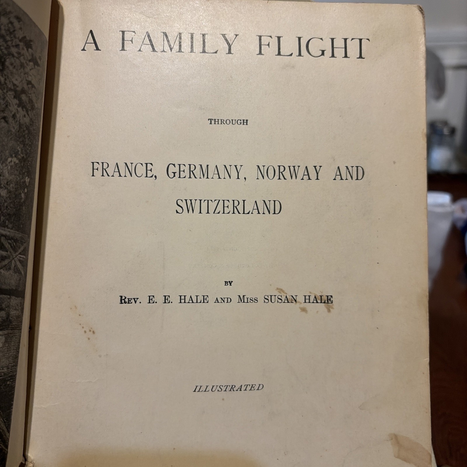 A family flight through France, Germany, Norway and Switzerland 1881 edition!