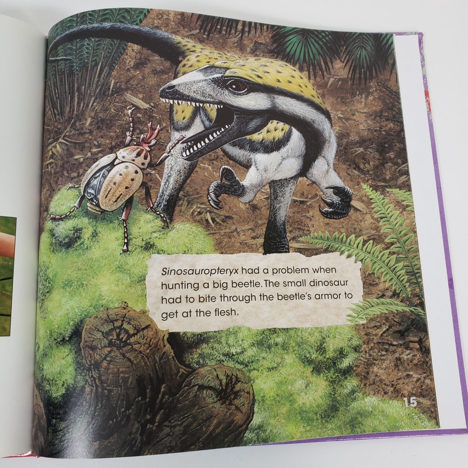 Mahakala and other Insect Eating Dinosaurs Dougal Dixon Library Binding HC 2009